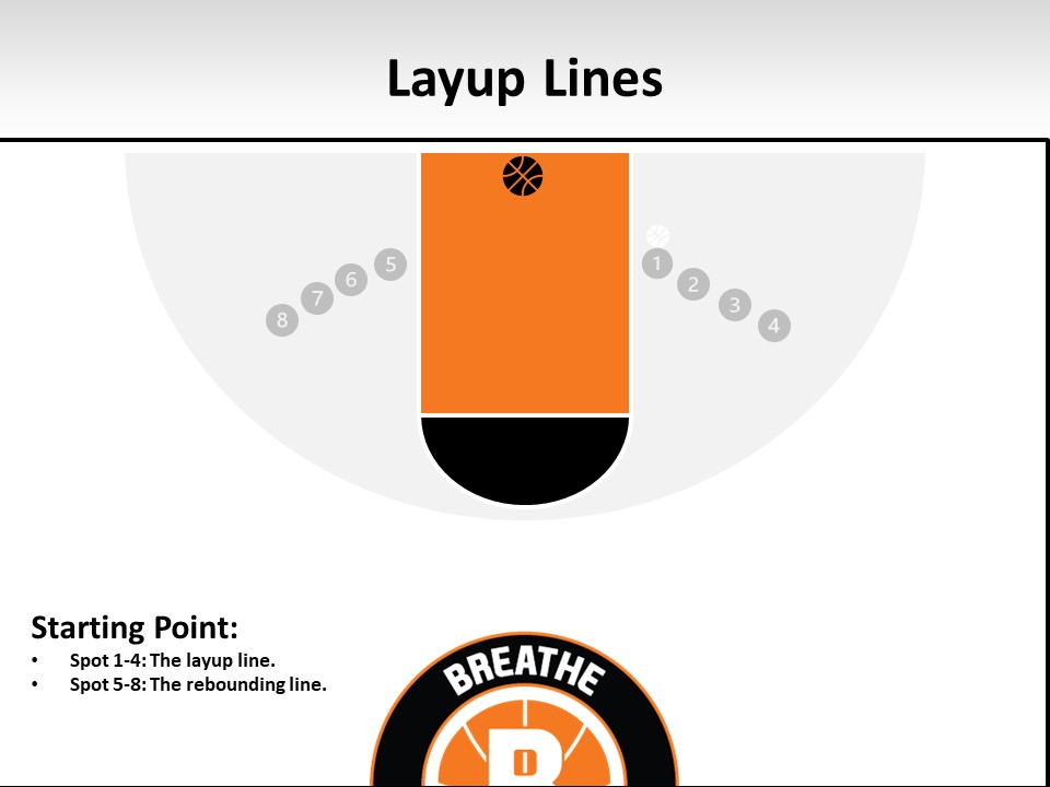 layup lines